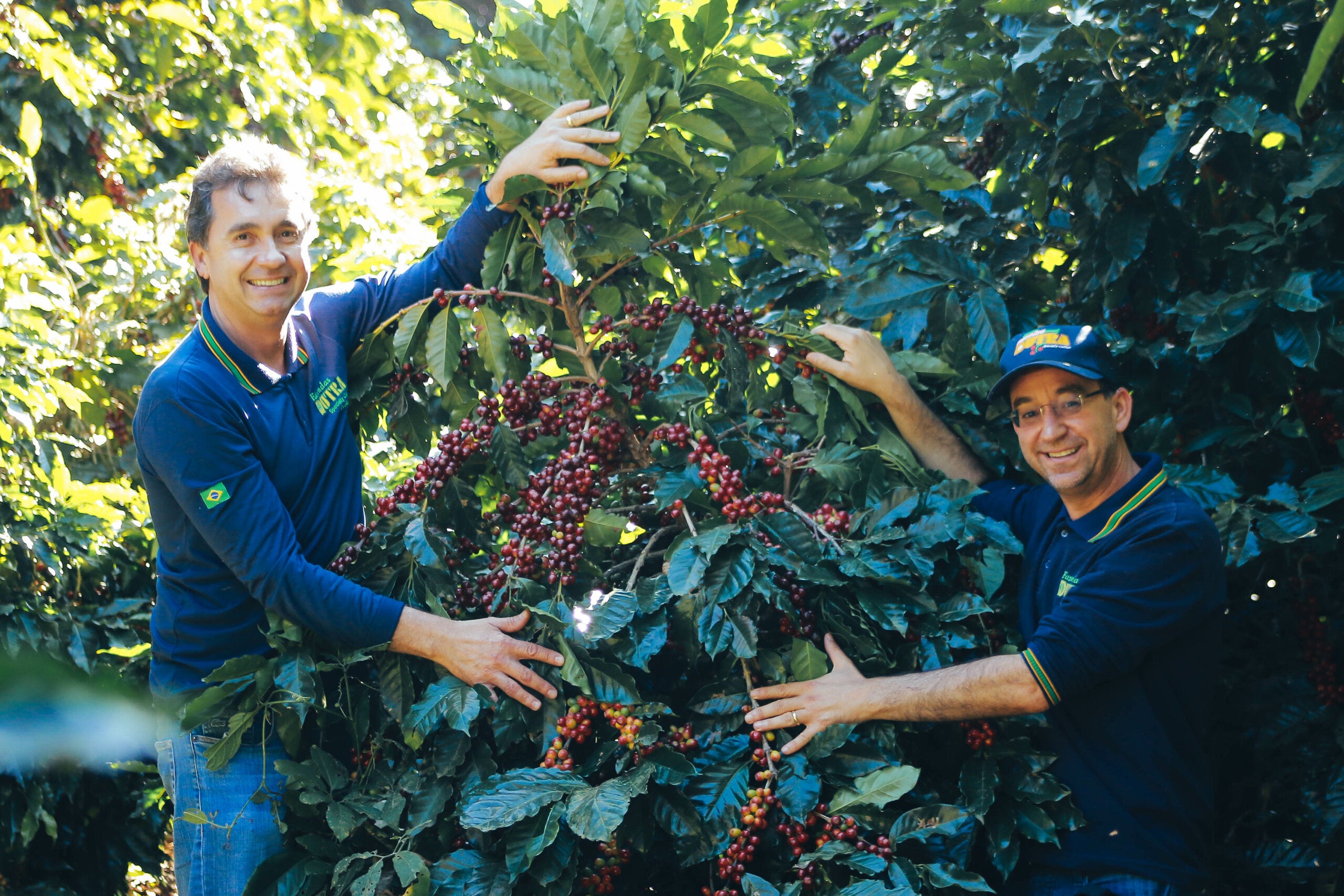 Fazenda Dutra Einblicke